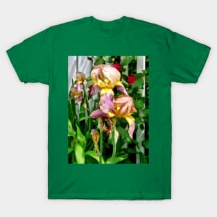 Irises By Picket Fence T-Shirt